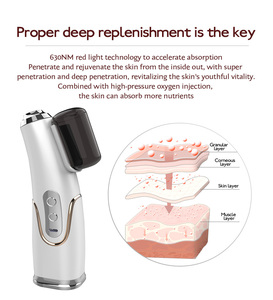 Portable Handheld Nano Spray Gun Essence Nutrition Injection Oxygen Jet Peel <strong>Facial</strong> <strong>Machine</strong> - Product Image 4