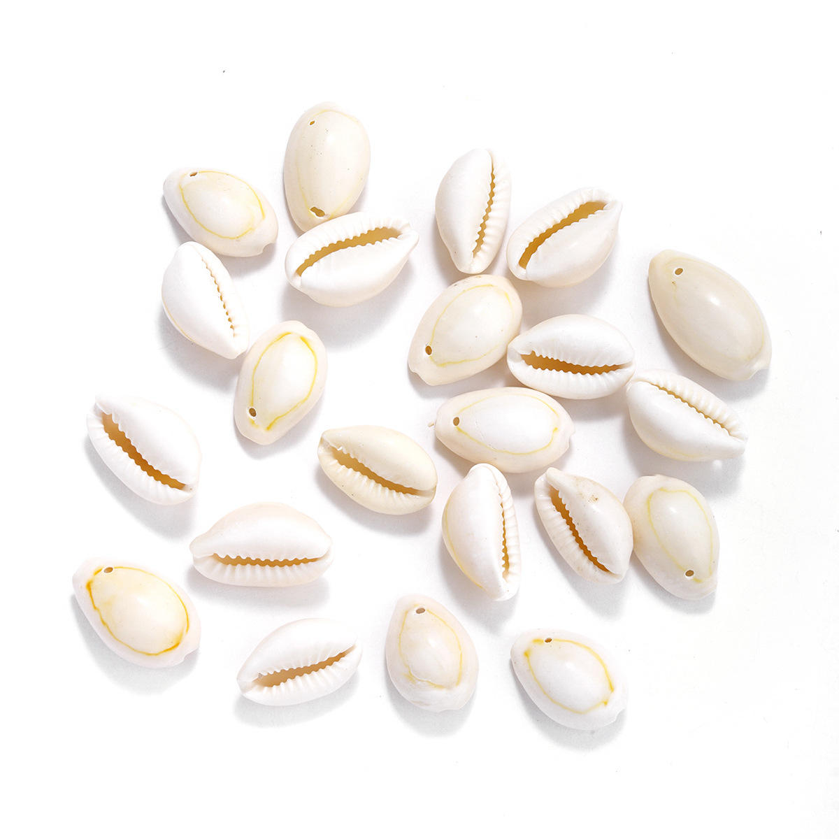 เปลือกหอย