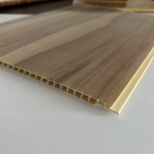 Panel de techo de plástico, 25-30 CPPVpanel iiiievevevevevevevevevev - Product Image 6