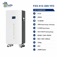 Batterie LiFePO4 15,36 kWh 51,2 V 300 Ah avec affichage LED intelligent, 6000 cycles, parallélisable, compatible avec Sofar, Pylontech, GoodWe, INVT