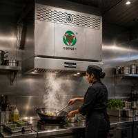 Hood Ventilasi Komersial Restoran Tanpa Saluran dengan Sel ESP yang Dapat Dicuci, Sistem Pemurnian Terintegrasi untuk Dapur Rantai