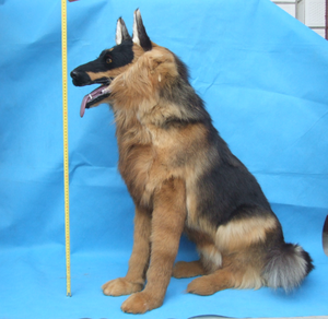OEM grinçant parodie grande statue géante <span class=keywords><strong>de</strong></span> <span class=keywords><strong>chien</strong></span> qui aboie pondéré en peluche vrai <span class=keywords><strong>chien</strong></span> animal noir en peluche berger alleman - Product Image 1