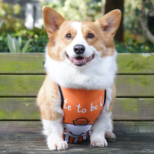 Corgi Belly Bib - Ropa impermeable para mascotas, color verde, para perros pequeños y medianos, uso en verano y en las cuatro estaciones - Product Image 3