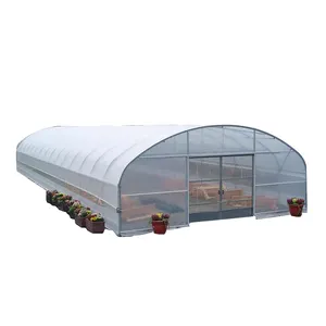 Low Cost Commercial Manufacturing Greenhouse Kit Arch Plastic Film Single-span Tunnel Greenhouse For Tomato