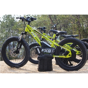 Bicicleta de equilibrio para niños personalizada de fábrica FXB 12 16 <span class=keywords><strong>20</strong></span> pulgadas bicicleta eléctrica con cuadro de aluminio para niños de 3 a 15 años - Product Image 5