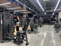 Máquina de Abdominales Comercial Cheernin, Resistente, 209 kg, Núcleo de Acero de 2.5 mm, Entrenador para Gimnasio o Club, Entrega DDP