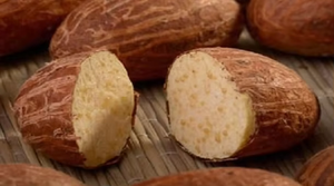 AGRIMAX LLC, Cola Amarga de Calidad de Exportación 100%, Ingredientes Naturales Puros, Grado Superior, Empaque Personalizado, Venta al Por Mayor a Granel, EE. UU. - Product Image 6