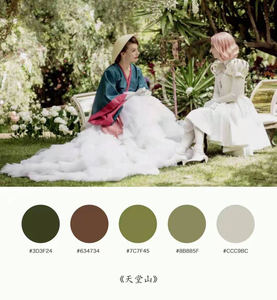 Manteaux en poudre polyester, plusieurs couleurs sont disponibles, idéal pour le lot de revêtements métalliques - Product Image 6