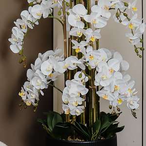 Plantes d'orchidées Phalaenopsis artificielles sur mesure en pots de grande taille avec tiges de fleurs, fabricants en gros - Product Image 2