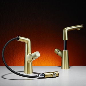 Ventas directas de fábrica Mezclador de agua fría y caliente Grifo de lavabo de elevación extraíble Grifo de lavabo de baño de oro cepillado - Product Image 1