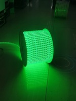Guirlandes lumineuses LED USB en PVC étanches haute tension AC 165-265V 2700K blanc chaud avec contrôle tactile/sensoriel 100M IP65 certifiées CE