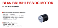 Minfei BL65 12 volts à 48 volts moteur électrique étanche BLDC moteur synchrone pour les pompes à eau