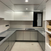 Armoire de cuisine en acier inoxydable personnalisable en gros ignifuge et étanche avec couleur métallique d'origine résistante aux rayures