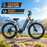 Vélo Électrique Fat Bike Personnalisable Chine, Moteur Brushless, Longue Autonomie 75 Miles, Batterie 48V 60V, Freins à Disque Doubles, Noir