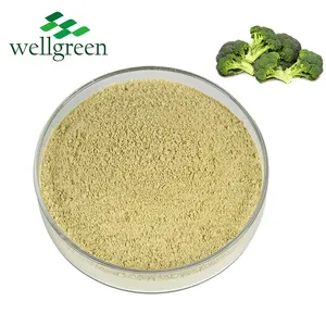 Spray Dried Broccoli Sprout Extract Powder Vegetable 99% Broccoli Powder Sulforaphane