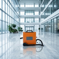 Machine de nettoyage au laser portable à impulsions 200W pour l'élimination de la rouille et du peinture sur métal, bois, pierre, prix d'usine, certifiée CE