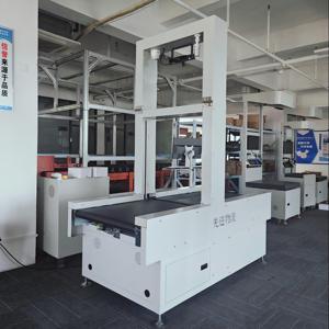 Soluzione automatizzata di cattura del peso di dimensione di alta efficienza per i centri logistici del carico alla rinfusa grande pacco Dws sistema - Product Image 2