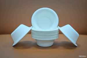 Plato de bagazo biodegradable de 9 pulgadas respetuoso con el medio ambiente plato de pulpa de caña de azúcar compostable desechable para uso de catering de eventos de boda - Product Image 4