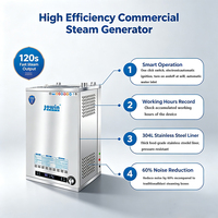 Generador de Vapor a Gas Comercial de 40-80KW, 55-125kg/h, Acero Inoxidable 304 de Grado Alimenticio, Alta Eficiencia, Ahorro de Energía del 20-40%, Control Digital