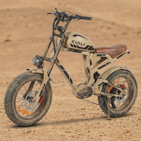 Sepeda Gunung Listrik Xili Sports 48v 750w 19.2ah  Gaya Vintage Retro 40Mph Ebike Retro Vintage Chopper