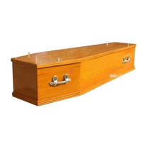 Ataúd de cartón TD-EC04Customized con asas de plástico para adultos, precio de fábrica, bonito servicio