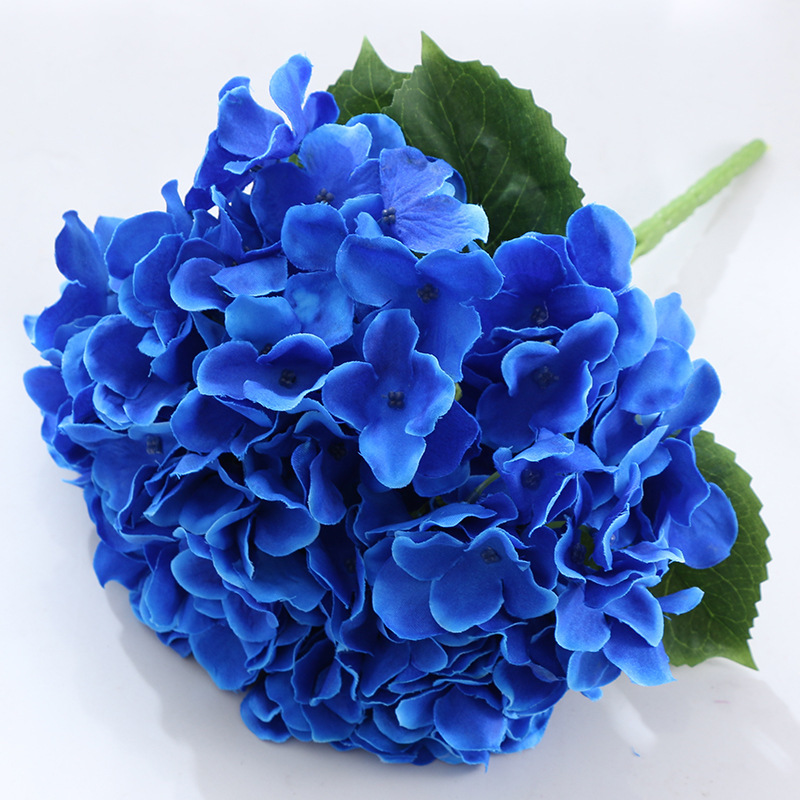 blue 7