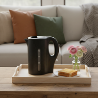 Bouilloire électrique en acier inoxydable de 1,0 L avec jauge d'eau transparente, arrêt automatique, protection contre la cuisson à sec, bouilloire à eau chaude pour la maison