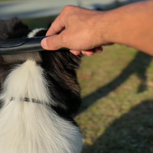 新しいデザインUSBチャージヘルスケア犬猫櫛ブラシ電気ペット毛ノミ除去櫛 - Product Image 2