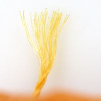 Cordes tressées en polyéthylène, lignes de chanvre torsadées, filets de pêche marins en PE pour la pêche en bateau en mer, haute qualité