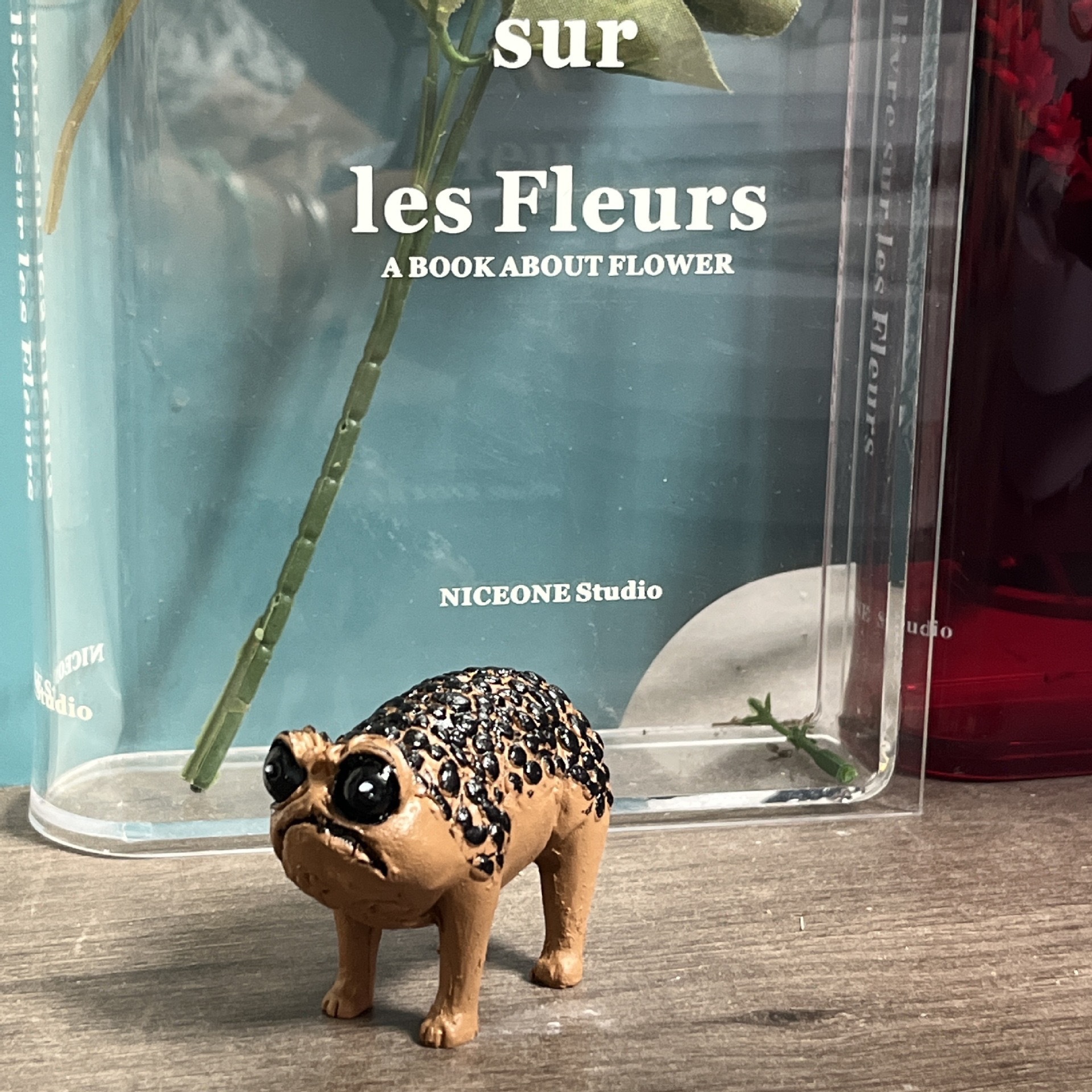Cute African Rain Frog Statue - Angry Toad Decor Art Deco