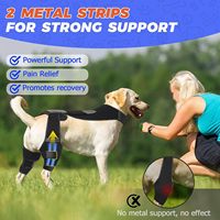 Équipement de protection pour animaux de compagnie, ceinture auxiliaire pour chien pour blessure de la patte avant, déchirure du ligament articulaire de la patte, rééducation du chien