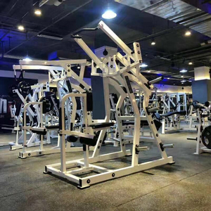 Equipo de entrenamiento de fuerza de carga, placa profesional comercial multifunción de alta calidad, máquina de fila trasera - Product Image 4
