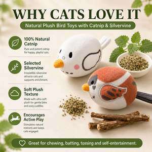 Jouet interactif en peluche en forme d'<span class=keywords><strong>oiseau</strong></span> pour chat, avec herbe à chat naturelle intégrée et jouet vocal en argentier pour chats restés à <span class=keywords><strong>l</strong></span>'intérieur - Product Image 4