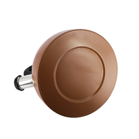 Nouvelle bouilloire sifflante en acier inoxydable 2,7 L avec revêtement coloré pour cuisinière domestique