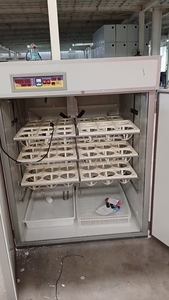 Máy ấp trứng đà điểu tự động gà ấp trứng đà điểu - Product Image 4