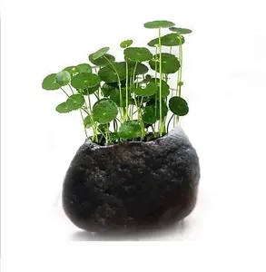 River Stone Pot Natural Rock Planter