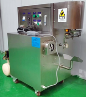 Fruit Professionele Machine Groenteschiller Pellen Strip Machine