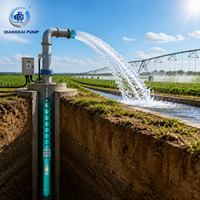 Pompe submersible pour puits profond, pour l'irrigation agricole, l'arrosage des fermes, l'approvisionnement en eau souterraine, les projets d'eau rurale