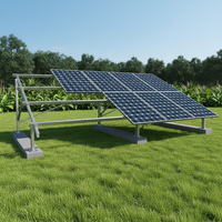 Support de montage au sol pour panneaux solaires OEM professionnel pour projets à grande échelle, conception personnalisée disponible