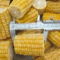 BRC HACCP Certifié IQF Cobbettes de maïs sucré surgelé blanchies