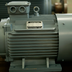 Generador de Imán Permanente de 20kW de Buena Calidad, Generador Síncrono de CA - Product Image 6