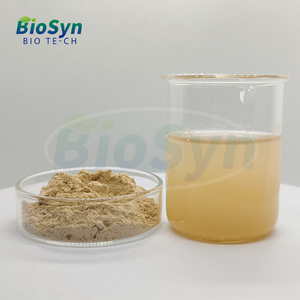 Biosyn chất chống oxy hóa mỹ phẩm lớp tinh khiết tự nhiên Amla chiết xuất bột <span class=keywords><strong>emblic</strong></span> leafflower chiết xuất từ quả với 20% polyphenol - Product Image 3
