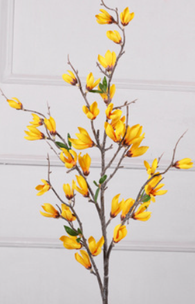 สีเหลือง