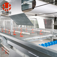 Cage à poulets de chair de type H, cage à batterie automatique pour poulets de chair, 3 niveaux, abreuvoir à tétine, système d'évacuation du fumier au sol, en acier galvanisé
