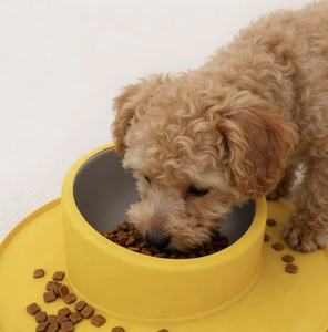 Toptan Yüksek Kaliteli Evcil Hayvan Mama Kabı Paslanmaz Çelik Silikon Kaymaz Tabanlı Dökülmez Kolay Temizlenen Evcil Hayvan Besleme Malzemeleri - Product Image 6