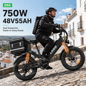 Bicicleta Eléctrica de Reparto D55 E-MTB 48V55Ah 750W con Neumático Grueso de 20 Pulgadas, 240 km de Autonomía, Suspensión Doble OEM, Venta al Por Mayor - Product Image 1