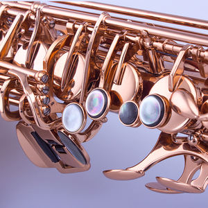 Vente en gros <span class=keywords><strong>de</strong></span> <span class=keywords><strong>saxophone</strong></span> alto finition or champagne pour <span class=keywords><strong>magasin</strong></span> d'instruments et corps en laiton <span class=keywords><strong>de</strong></span> concert ton Eb - Product Image 6