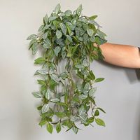 Plantes artificielles vertes tombantes en plastique, feuilles de simulation, mur végétal suspendu 49CM pour la décoration murale intérieure et extérieure