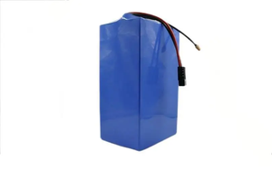 EV araba Rickshaw altın sepeti Ternary LiFePo4 lityum iyon batarya 48V 60V 30Ah 40Ah 50Ah güneş pili 30Ah 40Ah 50Ah güneş pili - Product Image 4