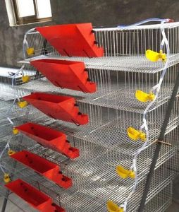 <span class=keywords><strong>Cages</strong></span> à cailles pyramidales neuves en promotion, fil d'acier à faible teneur en carbone, prix compétitif, fabriqué en Chine - Product Image 6